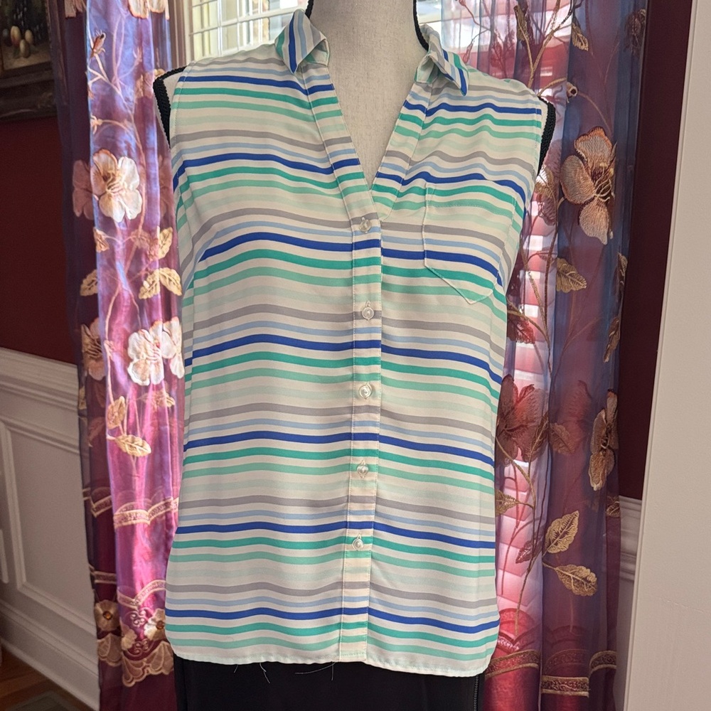 The Limited Multicolor Striped Button Down Shirt